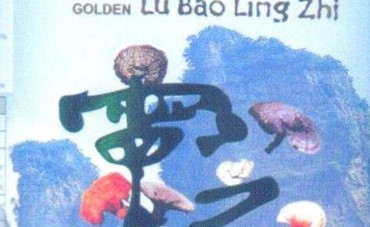 Lục bảo Linh chi